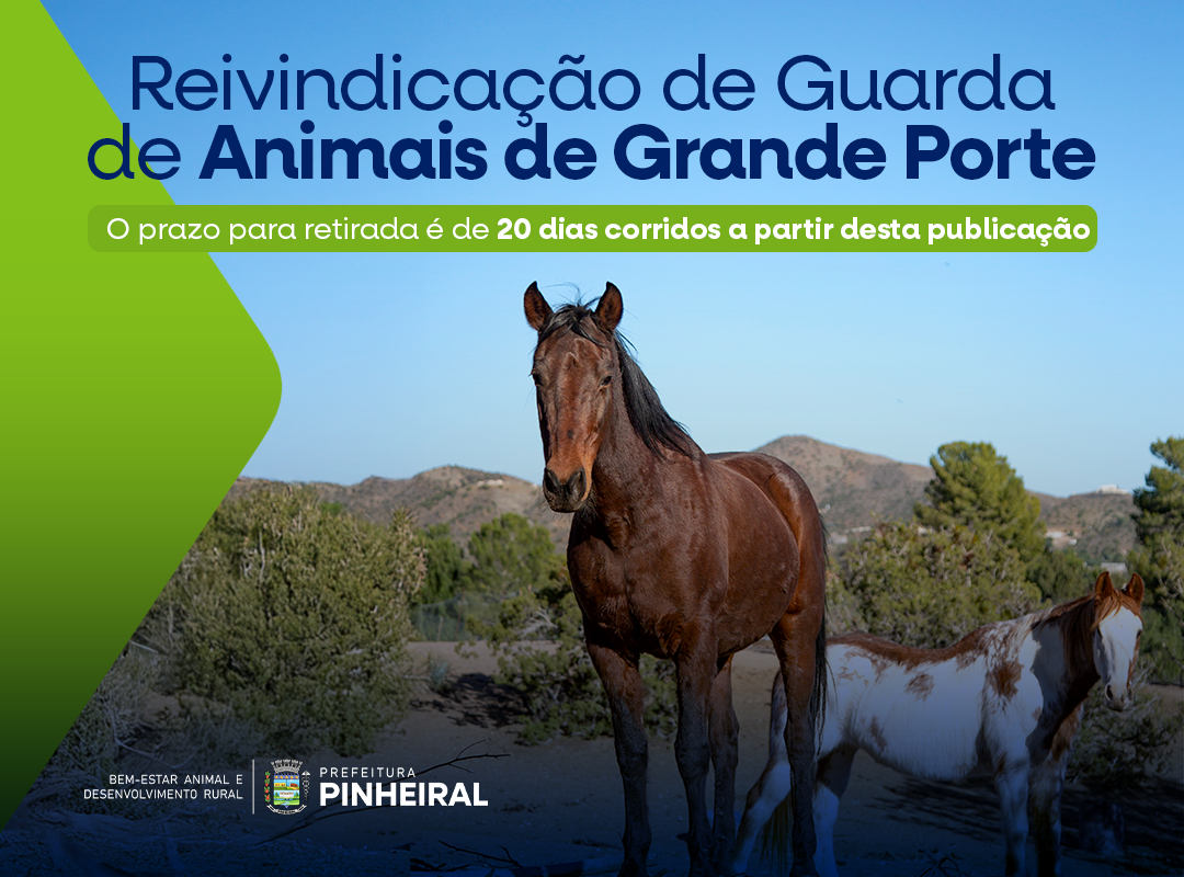 Aviso Público